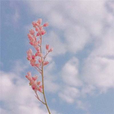 葫芦侠三楼破解版app下载