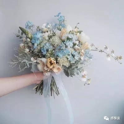 佩奇读书下载