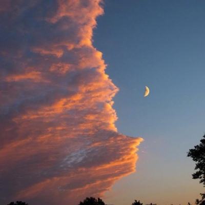 梦幻斗西游破解版下载